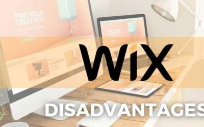 The Risks of Relying on Your Business Website Built with Wix